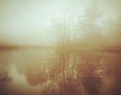 elizaville at etsy.com Golden Mist on Pond and Forest